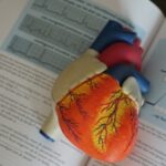 למידה על סימנים ומניעה של התקפי לב מדריך מהיר